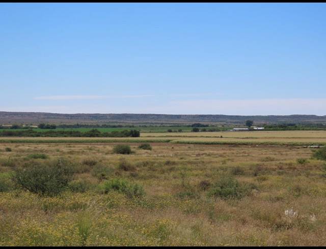 213HA FARM FOR SALE IN HOPETOWN RURAL